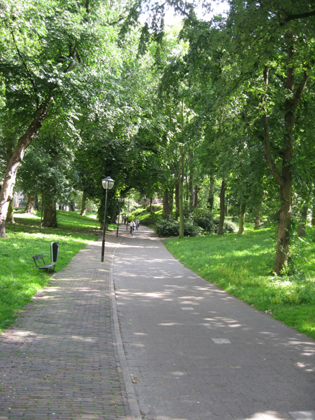 Green parks utrecht photo