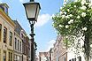 Via Nel Centro Di Utrecht